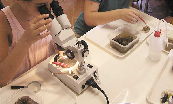 laboratori elba