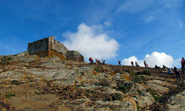 laboratori elba