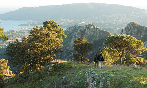 attività elba
