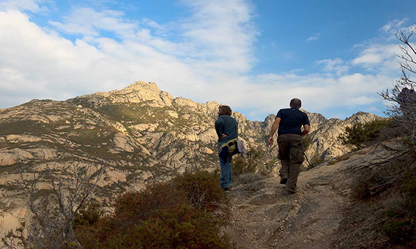 attività elba attività elba