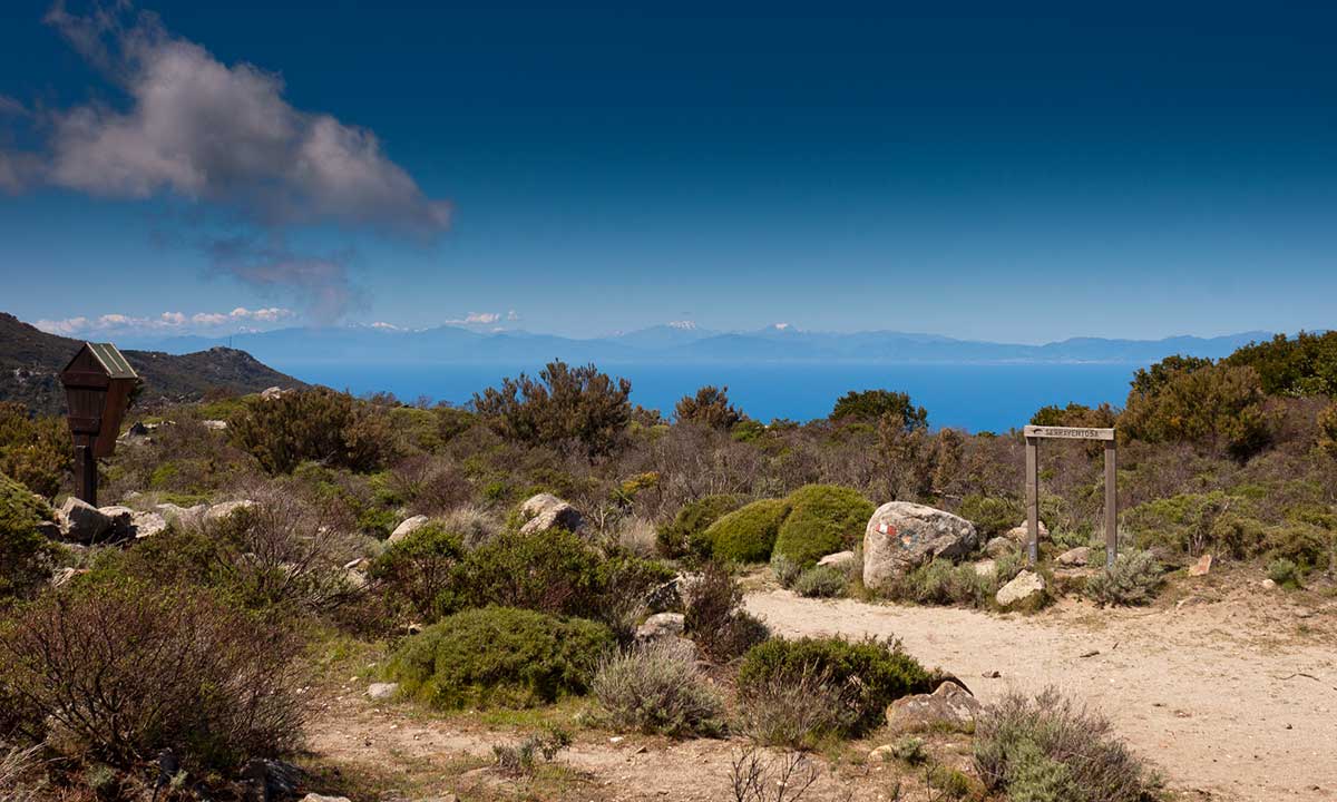 escursioni elba